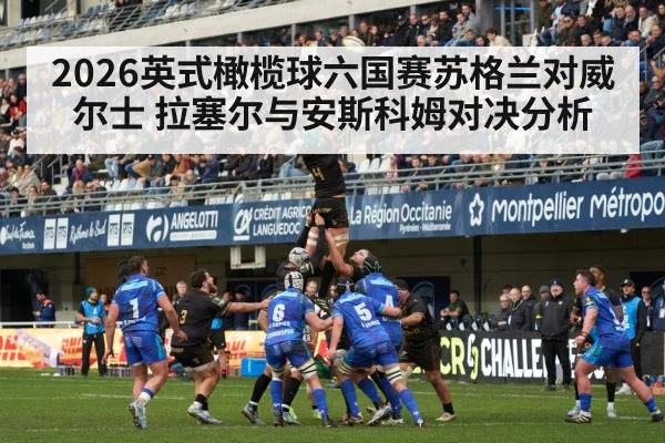 2026英式橄榄球六国赛苏格兰对威尔士 拉塞尔与安斯科姆对决分析